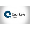 Çetinkaya Pano
